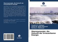Bookcover of Meeresenergie: die Zukunft der erneuerbaren Energie