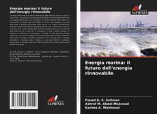 Energia marina: il futuro dell'energia rinnovabile kitap kapağı