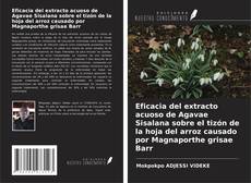 Capa do livro de Eficacia del extracto acuoso de Agavae Sisalana sobre el tizón de la hoja del arroz causado por Magnaporthe grisae Barr 