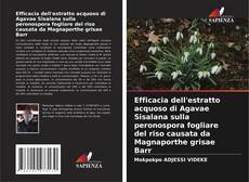 Buchcover von Efficacia dell'estratto acquoso di Agavae Sisalana sulla peronospora fogliare del riso causata da Magnaporthe grisae Barr