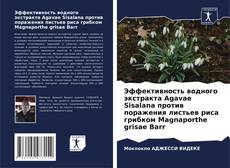 Bookcover of Эффективность водного экстракта Agavae Sisalana против поражения листьев риса грибком Magnaporthe grisae Barr