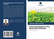 Borítókép a  Entomopathogener Pilz, Beauveria bassiana - hoz