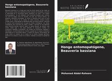 Buchcover von Hongo entomopatógeno, Beauveria bassiana