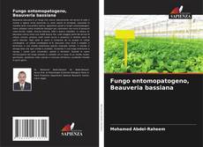 Обложка Fungo entomopatogeno, Beauveria bassiana