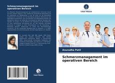 Bookcover of Schmerzmanagement im operativen Bereich