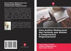 Buchcover von Uma Análise Mediacional dos Factores que Afetam o Compromisso Organizacional