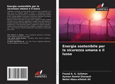 Energia sostenibile per la sicurezza umana e il lusso kitap kapağı