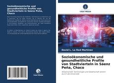 Couverture de Sozioökonomische und gesundheitliche Profile von Stadtvierteln in Sáenz Peña, Chaco