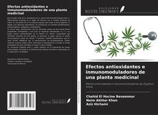 Buchcover von Efectos antioxidantes e inmunomoduladores de una planta medicinal