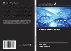 Matriz extracelular kitap kapağı