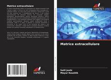 Bookcover of Matrice extracellulare