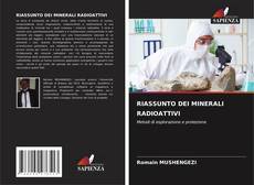 Buchcover von RIASSUNTO DEI MINERALI RADIOATTIVI