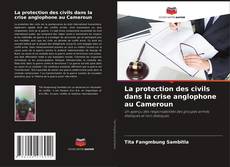 La protection des civils dans la crise anglophone au Cameroun的封面