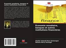 Copertina di Économie monétaire, banques et autres institutions financières