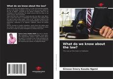 Buchcover von What do we know about the law?