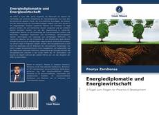 Capa do livro de Energiediplomatie und Energiewirtschaft 