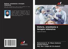 Bookcover of Dolore, anestesia e terapia intensiva