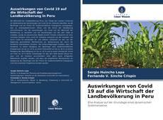 Auswirkungen von Covid 19 auf die Wirtschaft der Landbevölkerung in Peru的封面