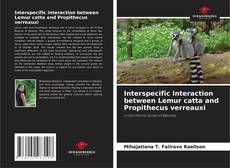 Couverture de Interspecific interaction between Lemur catta and Propithecus verreauxi