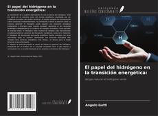 El papel del hidrógeno en la transición energética: kitap kapağı