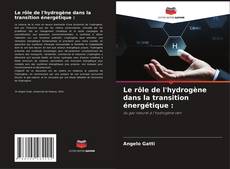 Couverture de Le rôle de l'hydrogène dans la transition énergétique :