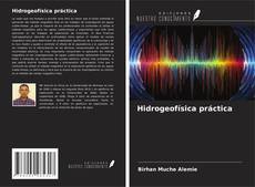 Buchcover von Hidrogeofísica práctica
