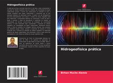 Bookcover of Hidrogeofísica prática
