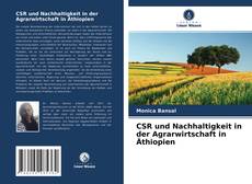 CSR und Nachhaltigkeit in der Agrarwirtschaft in Äthiopien kitap kapağı