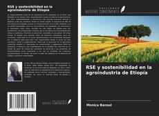 Buchcover von RSE y sostenibilidad en la agroindustria de Etiopía