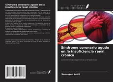 Síndrome coronario agudo en la insuficiencia renal crónica kitap kapağı