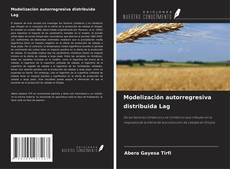 Bookcover of Modelización autorregresiva distribuida Lag