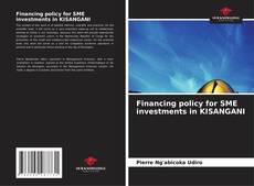 Buchcover von Financing policy for SME investments in KISANGANI