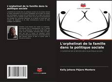Bookcover of L'orphelinat de la famille dans la politique sociale