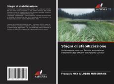 Capa do livro de Stagni di stabilizzazione 