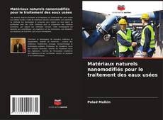 Buchcover von Matériaux naturels nanomodifiés pour le traitement des eaux usées
