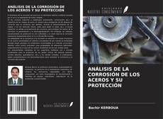 ANÁLISIS DE LA CORROSIÓN DE LOS ACEROS Y SU PROTECCIÓN kitap kapağı