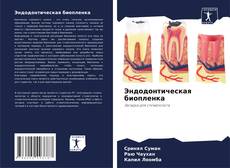 Эндодонтическая биопленка的封面