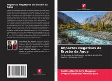 Bookcover of Impactos Negativos da Erosão da Água