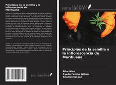 Principios de la semilla y la inflorescencia de Marihuana kitap kapağı