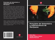 Buchcover von Princípios de Sementeira e Inflorescência de Marijuana