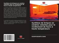 Capa do livro de Synthèse de briques en cendres volantes pour le revêtement de fours à haute température 