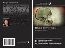 Portada del libro de Cirugía cervicofacial