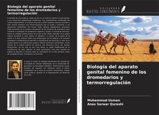 Bookcover of Biología del aparato genital femenino de los dromedarios y termorregulación