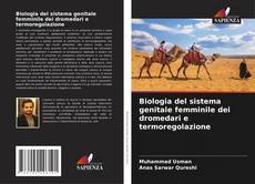 Copertina di Biologia del sistema genitale femminile dei dromedari e termoregolazione