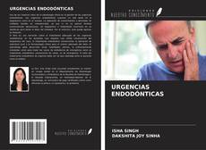 Buchcover von URGENCIAS ENDODÓNTICAS