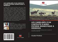 Portada del libro de LES CAMELIDÉS D'UN CONTEXTE D'AGRO-POTERIE DOMESTIQUE À MENDOZA