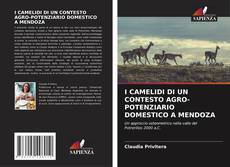 Bookcover of I CAMELIDI DI UN CONTESTO AGRO-POTENZIARIO DOMESTICO A MENDOZA