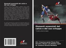 Bookcover of Elementi essenziali del calcio e del suo sviluppo
