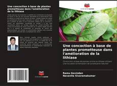 Buchcover von Une concoction à base de plantes prometteuse dans l'amélioration de la lithiase
