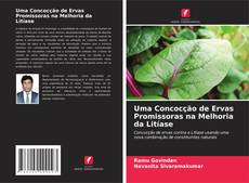 Capa do livro de Uma Concocção de Ervas Promissoras na Melhoria da Litíase 